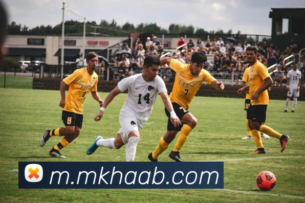 未来规划